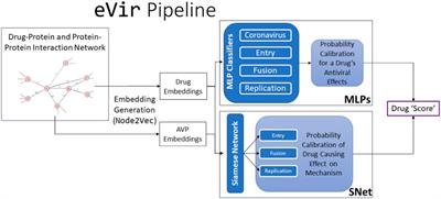 Identification of oral therapeutics using an AI platform against the virus responsible for COVID-19, SARS-CoV-2